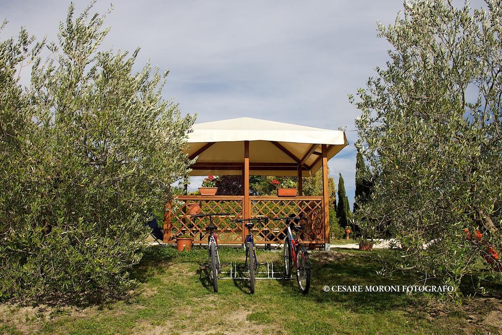 Residence Ai Campi Da Golf Сатурния Номер фото